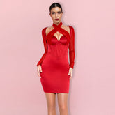 Halter Long Sleeve Mesh Mini Bodycon Dress HI1297