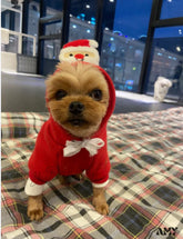 Amy Fashion - Pet Dog Winter Autumn Drawstring Hoodie