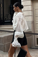 Solid Sheer Lightweight Chic Blouse