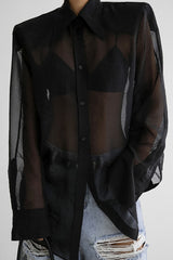 Mesh Sheer Long-Sleeve Loose Chic Blouse