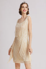 Vintage Sequin Fringe Performance Party Dress
