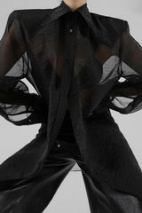 Mesh Sheer Long-Sleeve Loose Chic Blouse