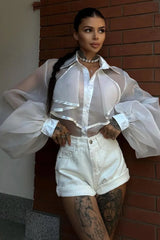 Sheer Lantern-Sleeve Collared Ruffled Blouse