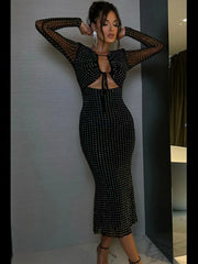Sequin Sheer Long Sleeve Midi Dress