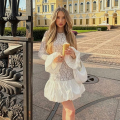 Sheer Lace Patchwork Long Sleeve Mini Dress