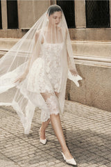 Lace Ruffled Waist Mini Party Dress