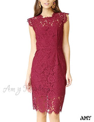 Amy Fashion - Sleeveless Lace Floral Elegant Crew Neck Knee Length Dress