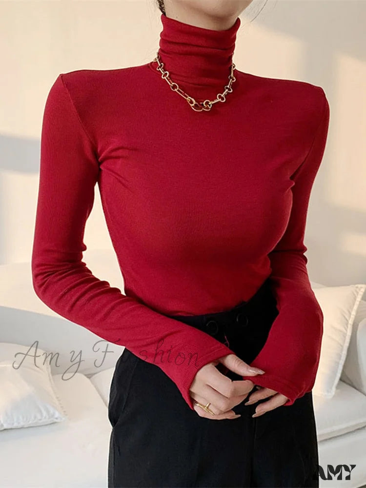 Amy Fashion - Slim Velvet Turtleneck Minimalist Tops