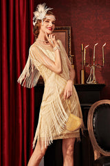 Vintage Sequin Fringe Performance Party Dress