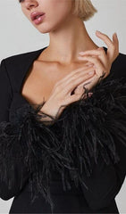 Stretch Long Sleeves Feather Mini Dress in Black