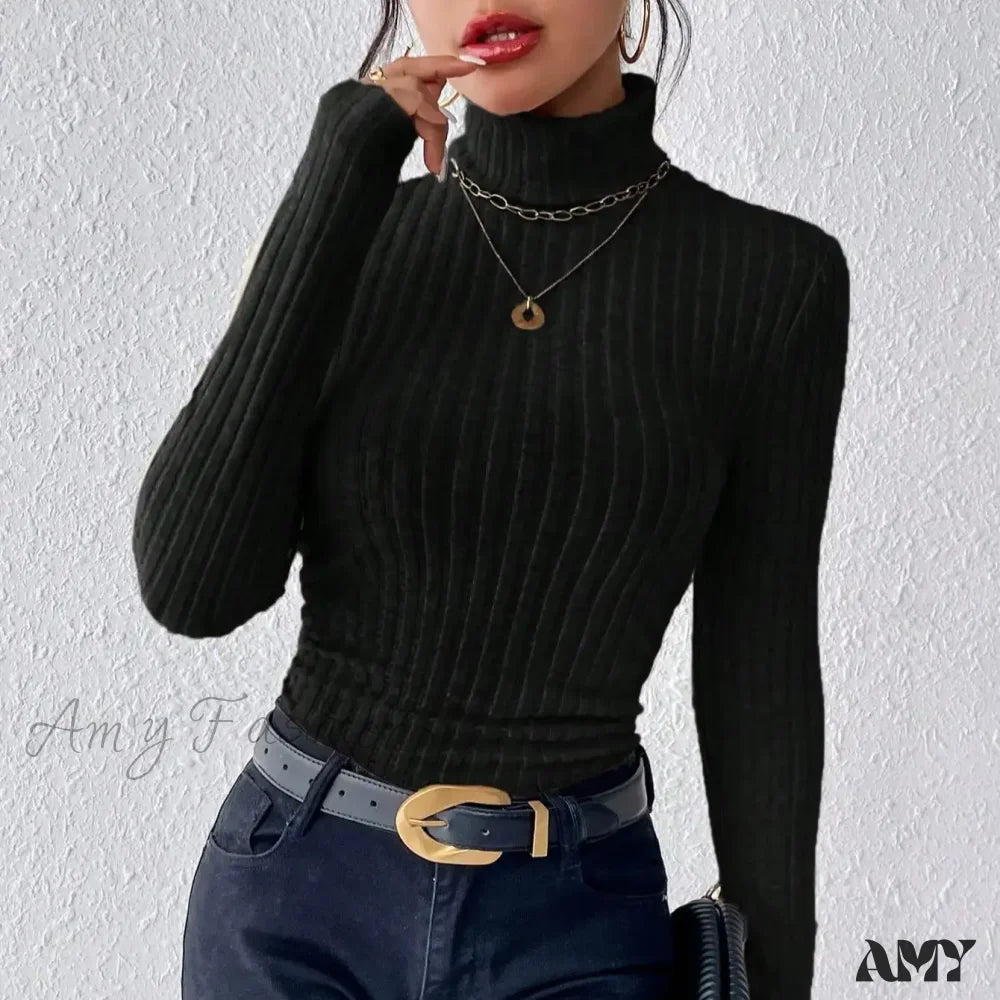 Elegant Solid Basic Knitted Tops Women Turtleneck Long Sleeve Casual Slim Sweater Black / Xs