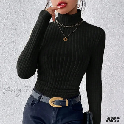 Elegant Solid Basic Knitted Tops Women Turtleneck Long Sleeve Casual Slim Sweater Black / Xs