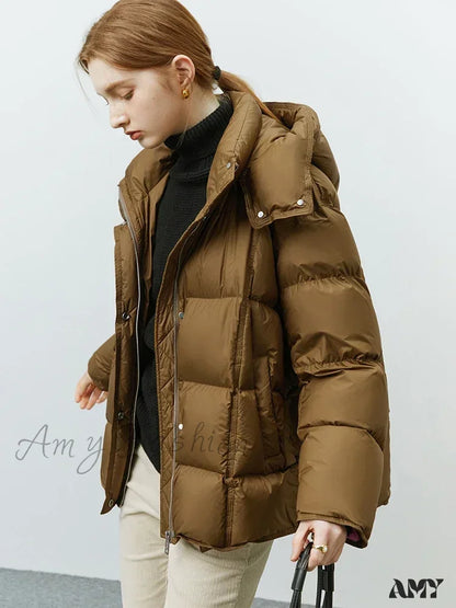 Hooded Goose Solid Color Windproof Short Casual Winter Down Coat Coffee / S