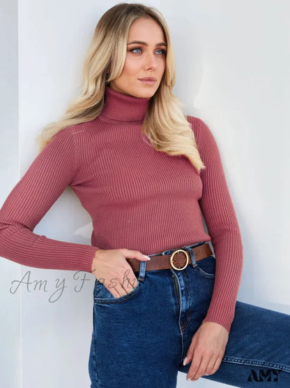 Long Sleeves Mock Turtleneck Basic Stretch Fitting Slim Sweater