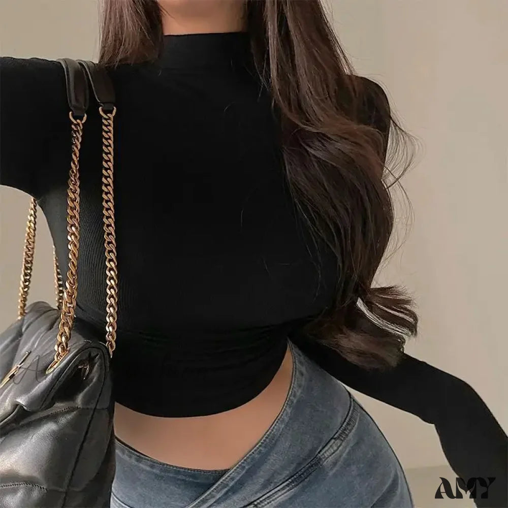 Simple Long Sleeve Slim Fit Short Half High Neck Solid Color Crop Top Black / S