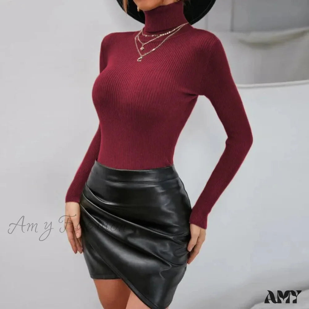 Slim Fit Turtleneck Pullover Jumper Knitted Christmas Sweater For Autumn Winter Wine Red / S