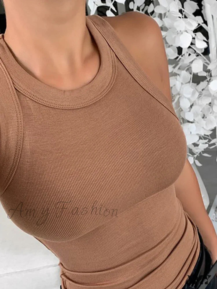 Solid Round Neck Ribbed Elastic Summer Basic O Crop Top