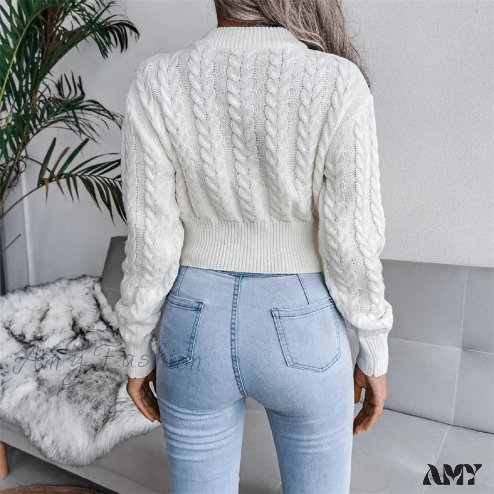 Women Solid Color Twisted Knitted Autumn Winter Fashion Long Sleeve Slim Fit Sweater