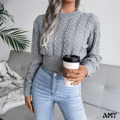 Women Solid Color Twisted Knitted Autumn Winter Fashion Long Sleeve Slim Fit Sweater Gray / S